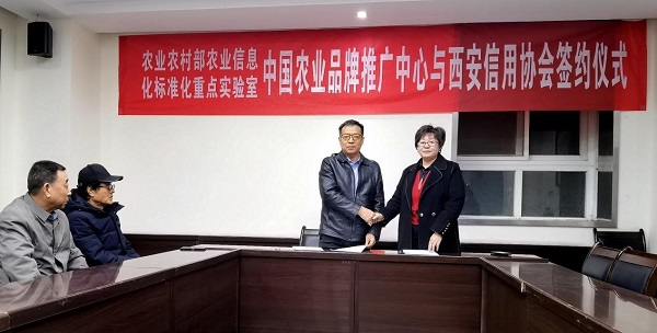 “一带一路”中国农业品牌推广中心陕西总部 在西安草堂镇揭牌(图1) “一带一路”中国农业品牌推广中心陕西总部 在西安草堂镇揭牌(图1)