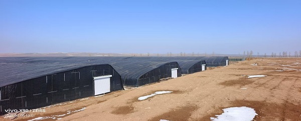 内蒙古和林格尔 “大棚工程” 骗局:一场狡诈的 “农业陷阱”(图5) 内蒙古和林格尔 “大棚工程” 骗局:一场狡诈的 “农业陷阱”(图5)