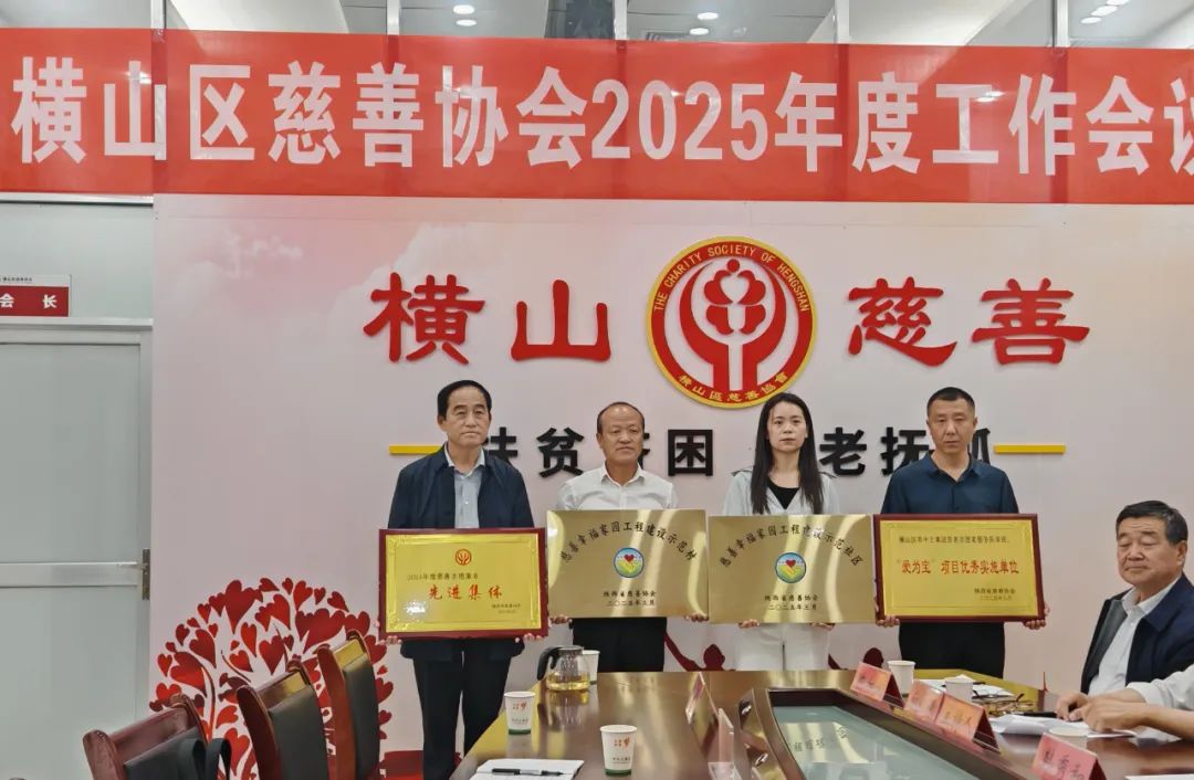 横山区慈善协会召开2025年慈善工作会议暨颁奖仪式(图10) 图片